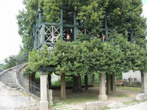 The lovely Tanzlinde (which means literally "dance Linden tree"). Joy and I are standing "in" it. It is not easy to tell from this photo, but a large platform is built into the tree, surrounding the huge trunk, and in the summer, there are dances held there. Only in Germany!