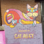 Welcome to cat alley