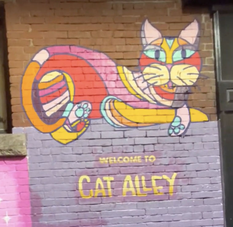 Welcome to cat alley